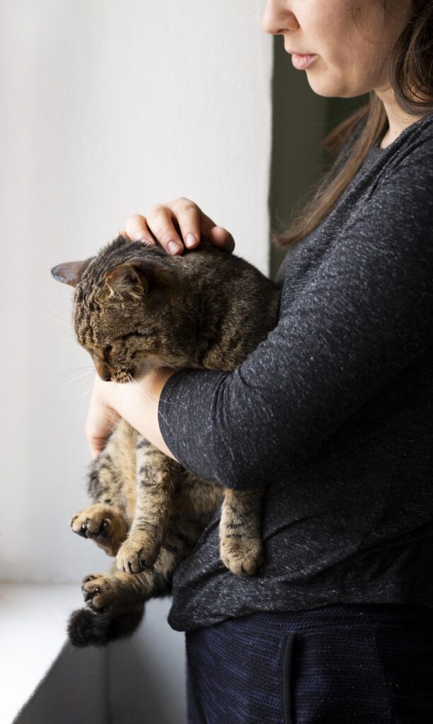 Gato-Sendo-Cuidado-Por-Uma-Mulher
