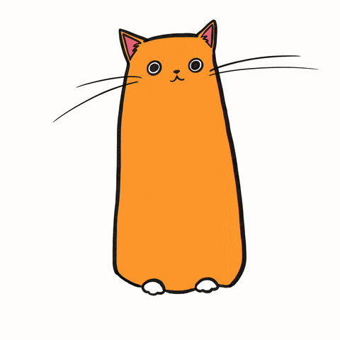Porque-os-Gatos-Amassam-Pãozinho