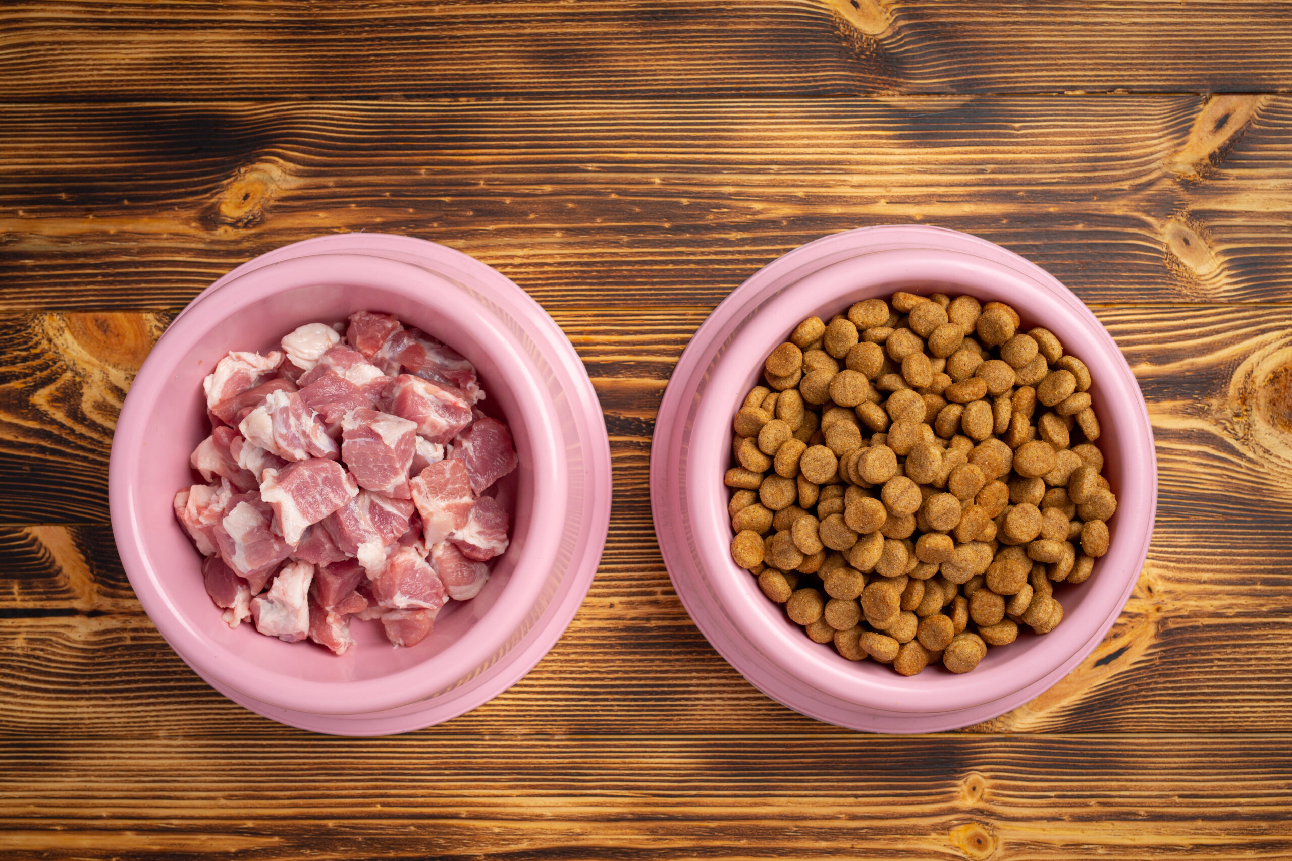 alimentacao-natural-para-gatos