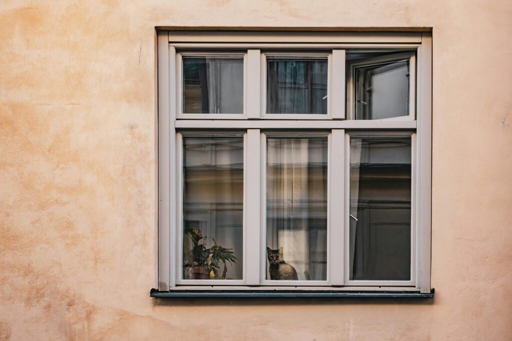 raças-de-gato-para-apartamento