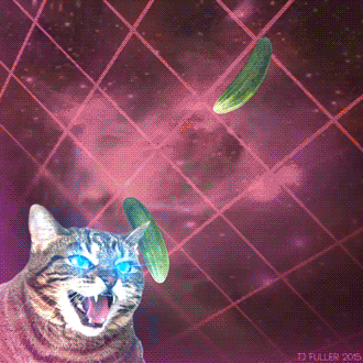 porque-os-gatos-tem-medo-de-pepino