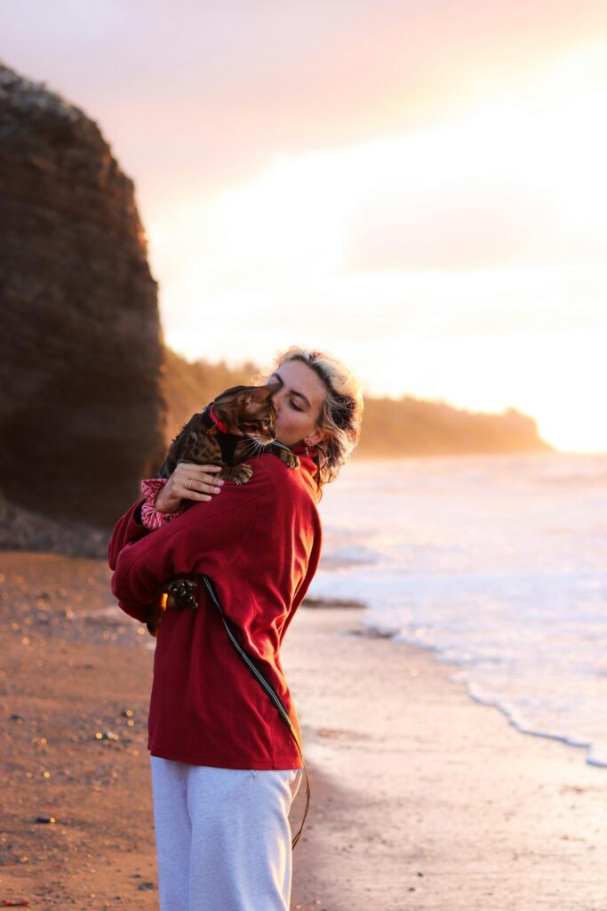 viajar-com-gato-no-verao