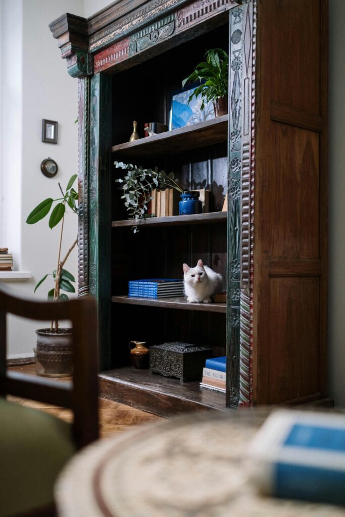 decoracao-de-casa-com-gatos