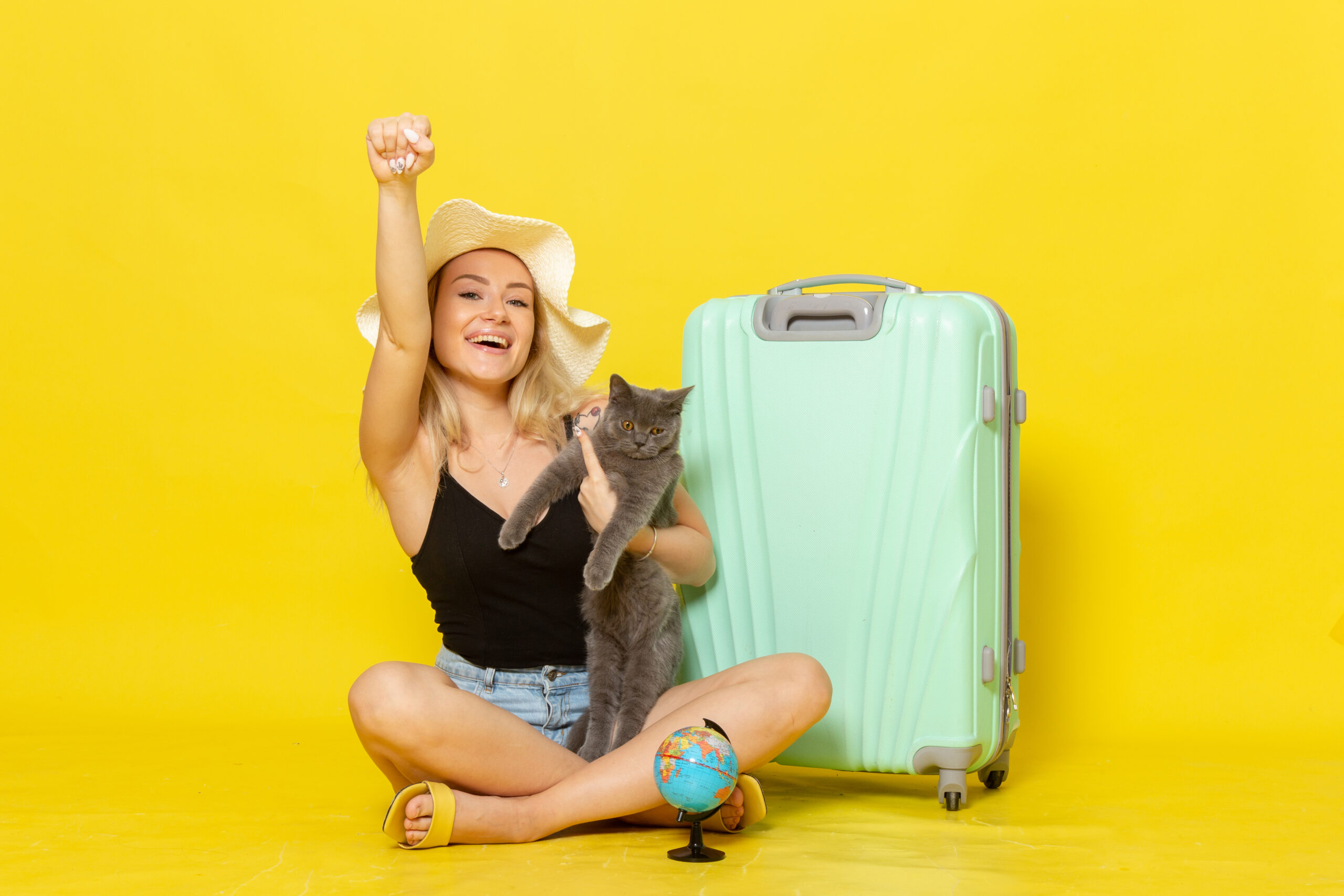 como-acostumar-gato-a-viajar