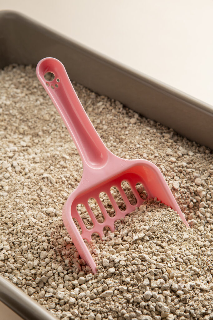 areia-biodegradável-de-gato