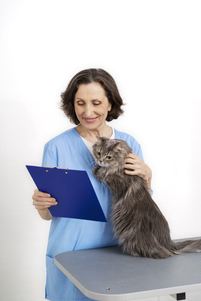 doença-crônica-em-gatos