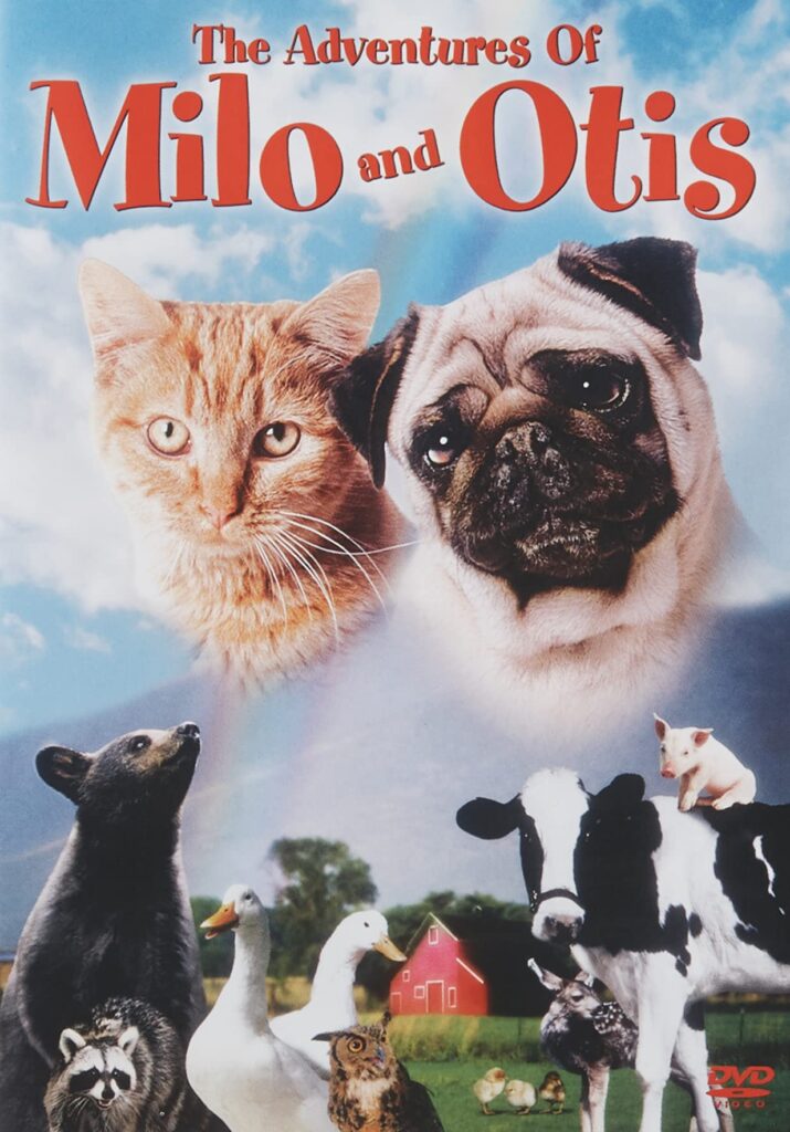 filmes-com-gatos-protagonistas