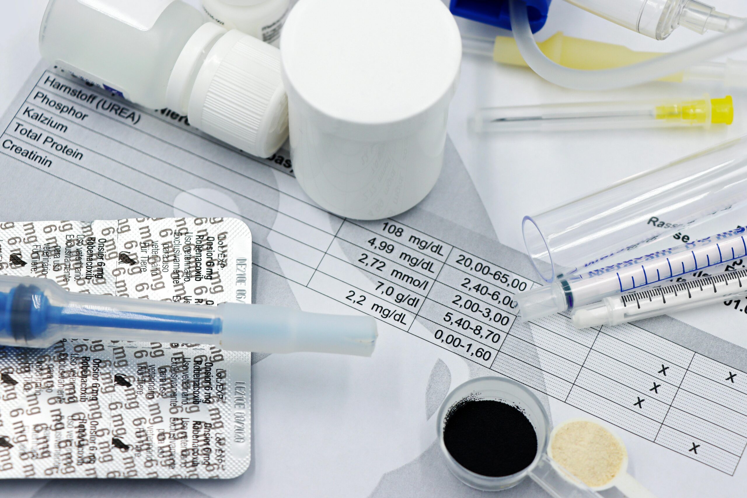 suplementos-para-gatos-idosos